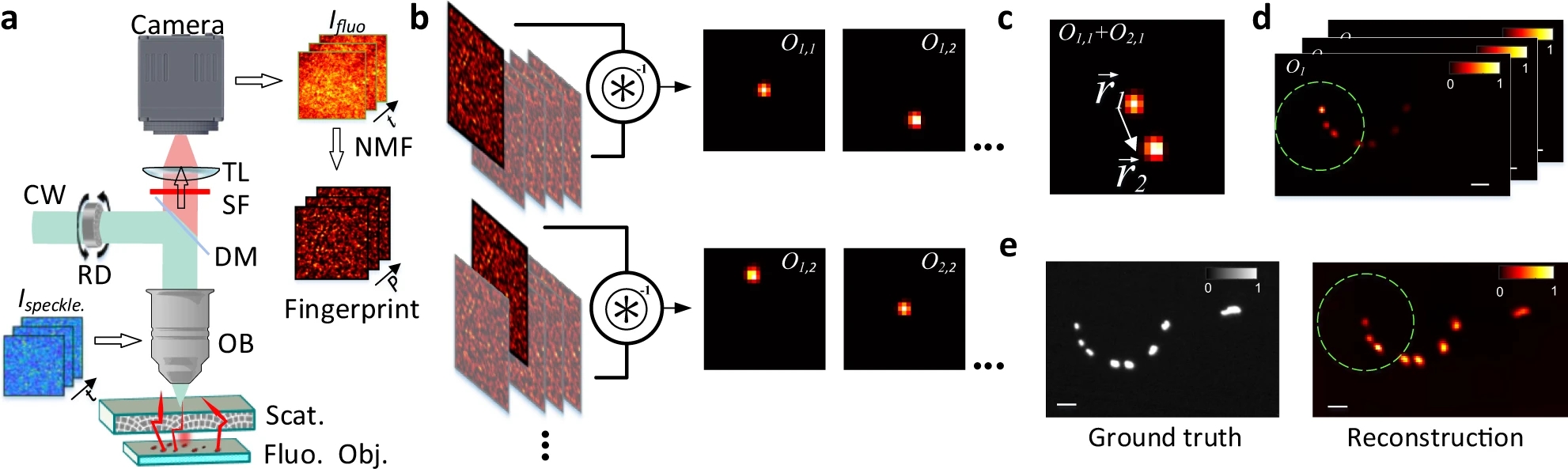 Large field-of-view non-invasive imaging through scattering layers using fluctuating random illumination