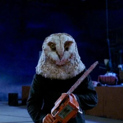 Señó Moshuelo 🦉