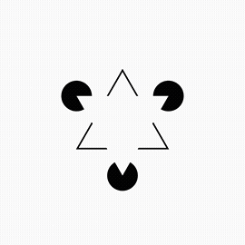 Javier Rooster 🇵🇸