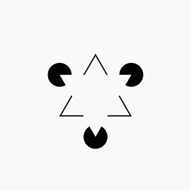 Javier Rooster 🇵🇸